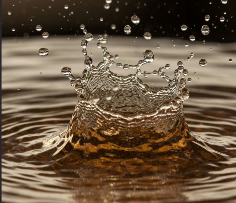 Aloe Aqua Veil Mist, long-lasting hydration, Aloe Vera