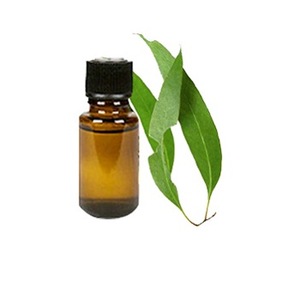 Eucalyptus Essential Oil (Eucalyptus globules)