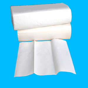 Intereaved N Z fold  Multifold Hand Paper Towel
