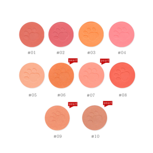 Makeup Cosmetics Single Color Blush Face Cheek Pressed Powder OEM Blusher Palette Private Label
