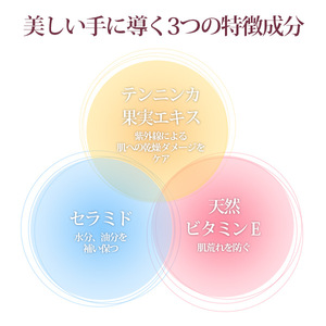 MEDISTHE Medicated hand cream 100 g [ professional , japan ]