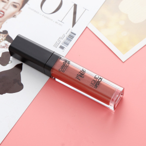 OEM/ODM Private Label Long lasting Matte Lip gloss Makeup Cosmetics  Lip Tint Liquid Lipstick Multicolor Lipgloss