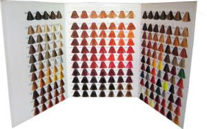 Professional color caralogue and hair color chart for Hair Color Cream/Hair Dye