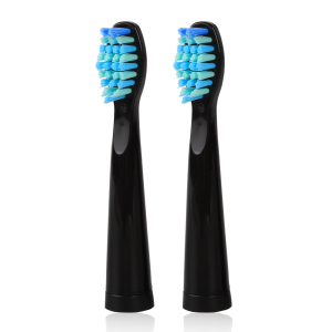 SEAGO wholesale SGD103  replacement electric tooth brush heads