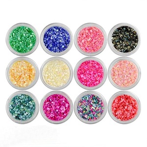 12 Colors Nail Art 3d Nail Art Decorations Sparkle Powder Crushed Sea Shell Glitter Tips