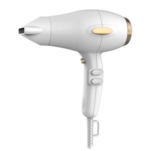 1800-2200W Professional Negative Ionic Compact AC Hair Blow Dryer