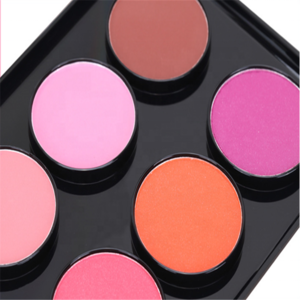 Free samples vegan eyeshadow liquid blush private label cosmetics