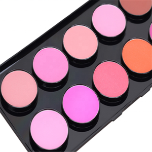 Free samples vegan eyeshadow liquid blush private label cosmetics