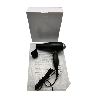 Good Price Professional Salon Ionic Household AC Blow Hair Dryer