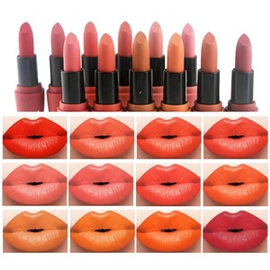 High quality beauty cosmetics waterproof matte lipstick