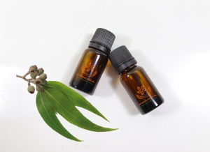 High Quality Natural Eucalyptus Citriodora essential oil inexpensive with modern factory