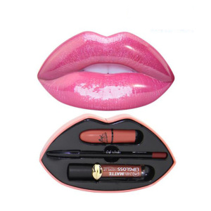 Private label wholesale mouth container long lasting lipgloss waterproof lip liner matte Cosmetics lipstick kit