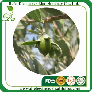 Wholesale Natural Organic Jojoba Carrier Oil with Private Logo