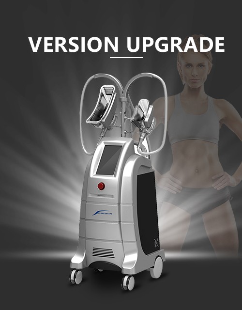 Cryolipolysis Fat Freezing Slim Machine