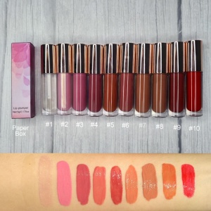 10 Color Private Label Vegan Lip Gloss Lip Plumper