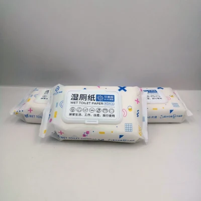 2023 Hot Sell 100% Biodegradable Flushable Material Wet Tissue Toilet Flushable Wipes with Private Label