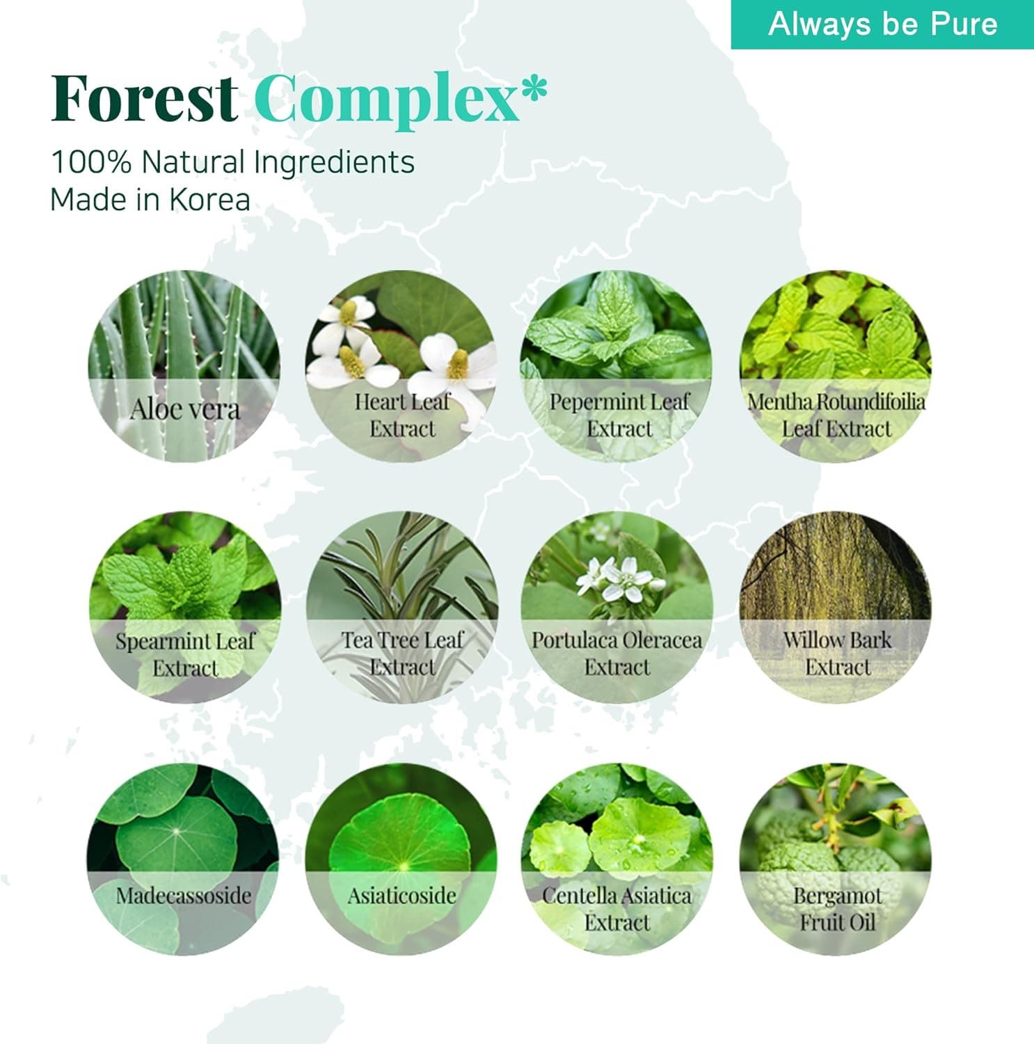 Forest Therapy Ultra Calming Toner 150ml