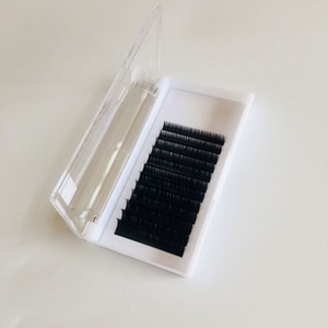 Korean PBT And Mink And Silk Lashes Extension