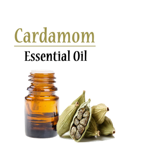 Organic Certified Anti-Aging Cardamom Oil manufacturers | Fully natural Seeds Extracted Cardamom Oil Bulk Manufacturer