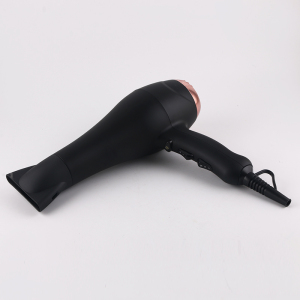 Taiyun HD-315  wholesale salon ionic hair dryer Professional blow dryer
