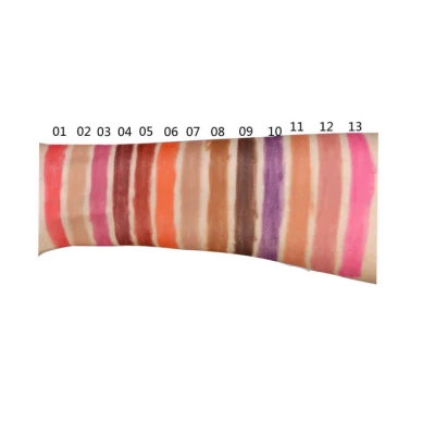 17 Colors Lipliner Pencil Set High Quality Long Lasting Waterproof Lipliner