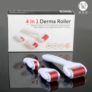 2021 The Newest 4 in 1 Derma roller / Dermaroller