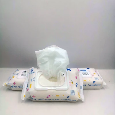 2023 Hot Sell 100% Biodegradable Flushable Material Wet Tissue Toilet Flushable Wipes with Private Label