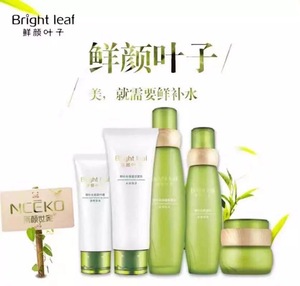 B6713 Moisturizing skin care set 5 pieces cleanser skin toner BB cream natural skin care products