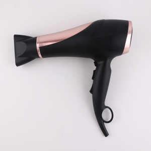 Custom Travel household hotel hair dryer