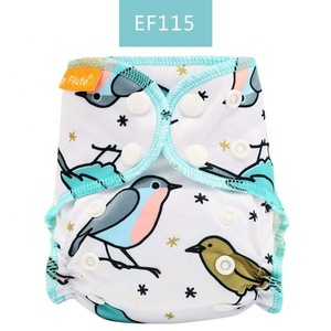 HappyFlute 2018 new arrival Eco-friendly Babyfriend Newborn AIO cloth diaper/nappy