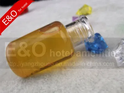 Hotel Bathroom Accessories, Hotel Amenities, Travel Shampoo/Shower Gel in Bottle