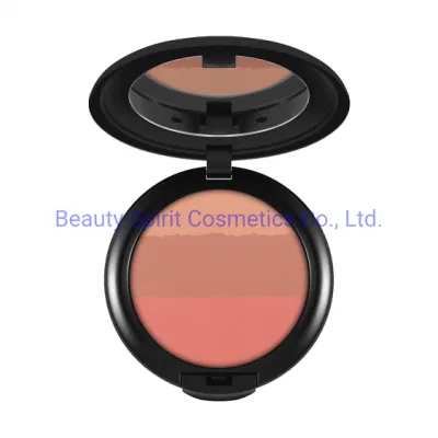 OEM Cosmetics Makeup Shimmer Matte Blush