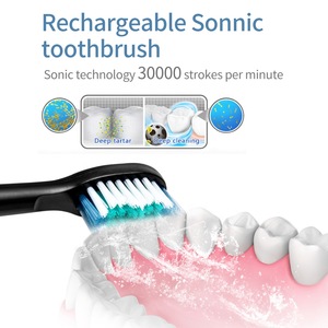 Oral hygiene personalized electric toothbrush USB charging Rechargeable OEM Adult Smart IPX7 sonic Automatic Dental toothbrush