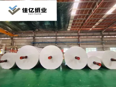 Parent Tissue Roll for Material of Napkin Facial Tissue Toilet Paper Facial Tissue