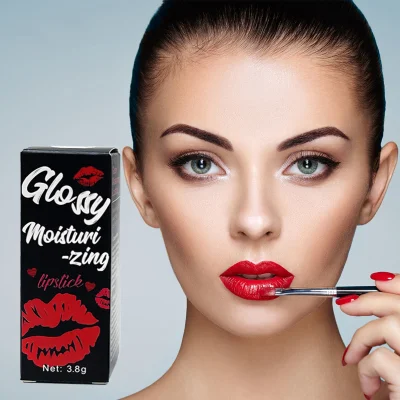 Private Label Vegan Matte Lipgloss Lipstick for Make up