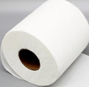 toilet paper/toilet paper rolls/bamboo toilet paper