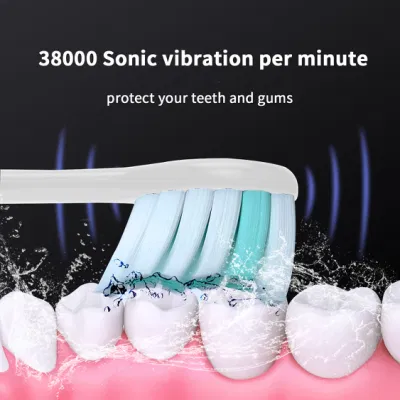 Tooth Brush Sonic Electric Toothbrush for Adult