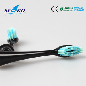 Toothbrush Head with High Quality Dupont Bristle for Electric Toothbrush