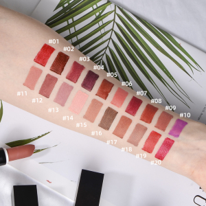 Waterproof Nude Matte Lip Lipstick Cosmetics Lipstick No Logo