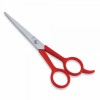 Hair Dressing Scissor