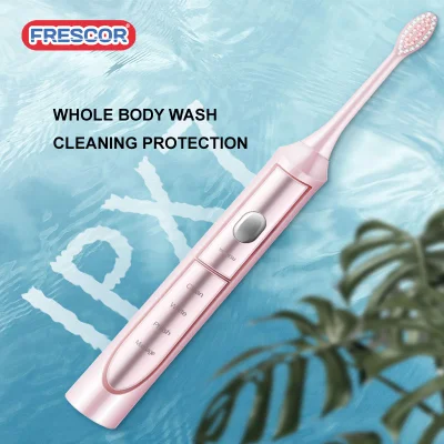 2019 New Arrival Adult Waterproof Ipx7 Rechargeable Sonic Electric Toothbrush