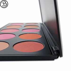 Accept OEM high pigment 10 Color blush palette