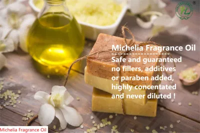 Hl- Highly Enriched Cold Process Soap Fragrance Oils Factory, Michelia Alba Leaf Soap Fragrance Oil for Scented Soap Making Sample Free &amp; Bulk Price