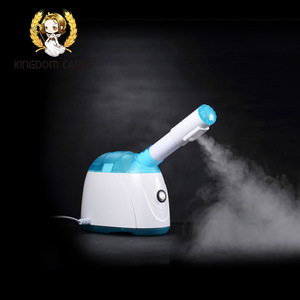 Kingdom cool mist humidifier facial steamer with lamp