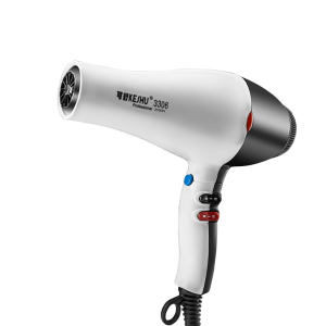 New arrival High power 2400W Professional salon hair Blow drier