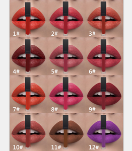 OEM 27 colors Cosmetic Makeup multiple color long lasting liquid lipstick matte lipstick