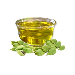 Organic Certified Anti-Aging Cardamom Oil manufacturers | Fully natural Seeds Extracted Cardamom Oil Bulk Manufacturer