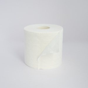 printed toilet paper bamboo towel tissue toilet paper making