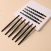 Disposable Lip Brushes