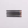Disposable Lip Brushes